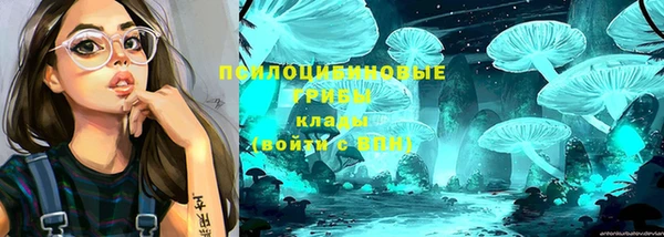 мет Лабытнанги