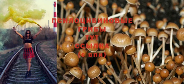 PSILOCYBIN Кулебаки