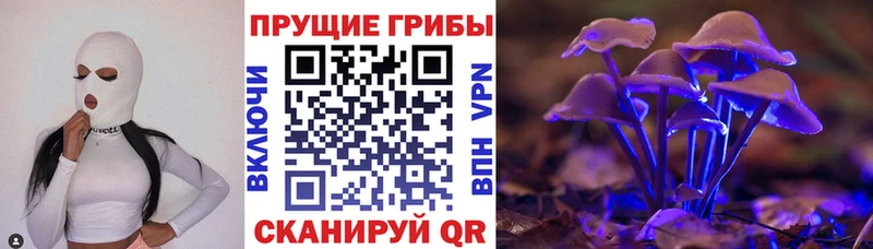 Галлюциногенные грибы GOLDEN TEACHER Нарткала