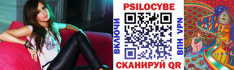 Купить закладки  Нарткала  Псилоцибиновые грибы прущие грибы 