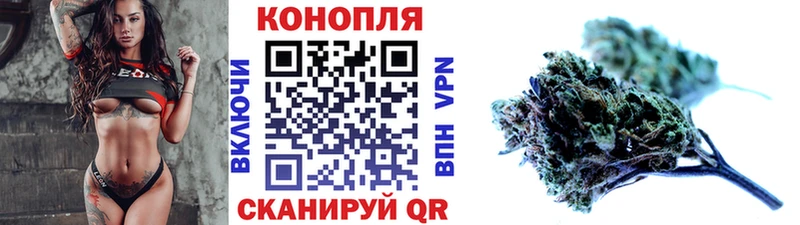 Шишки марихуана семена Купить Нарткала